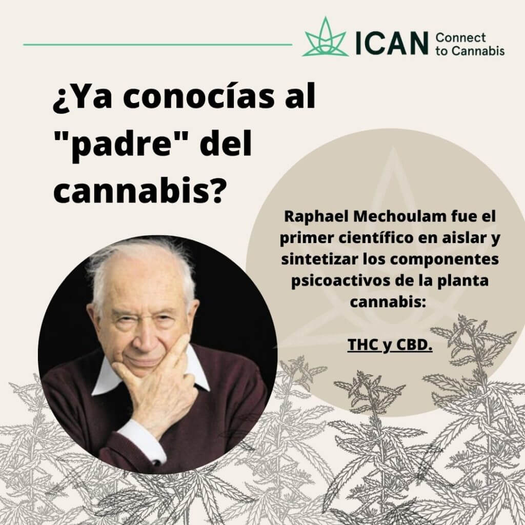 PadreCannabis (1)