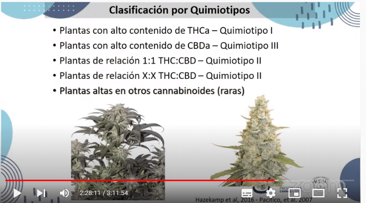 Quimiotipos (1)