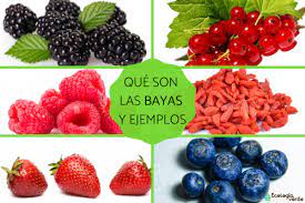 bayas